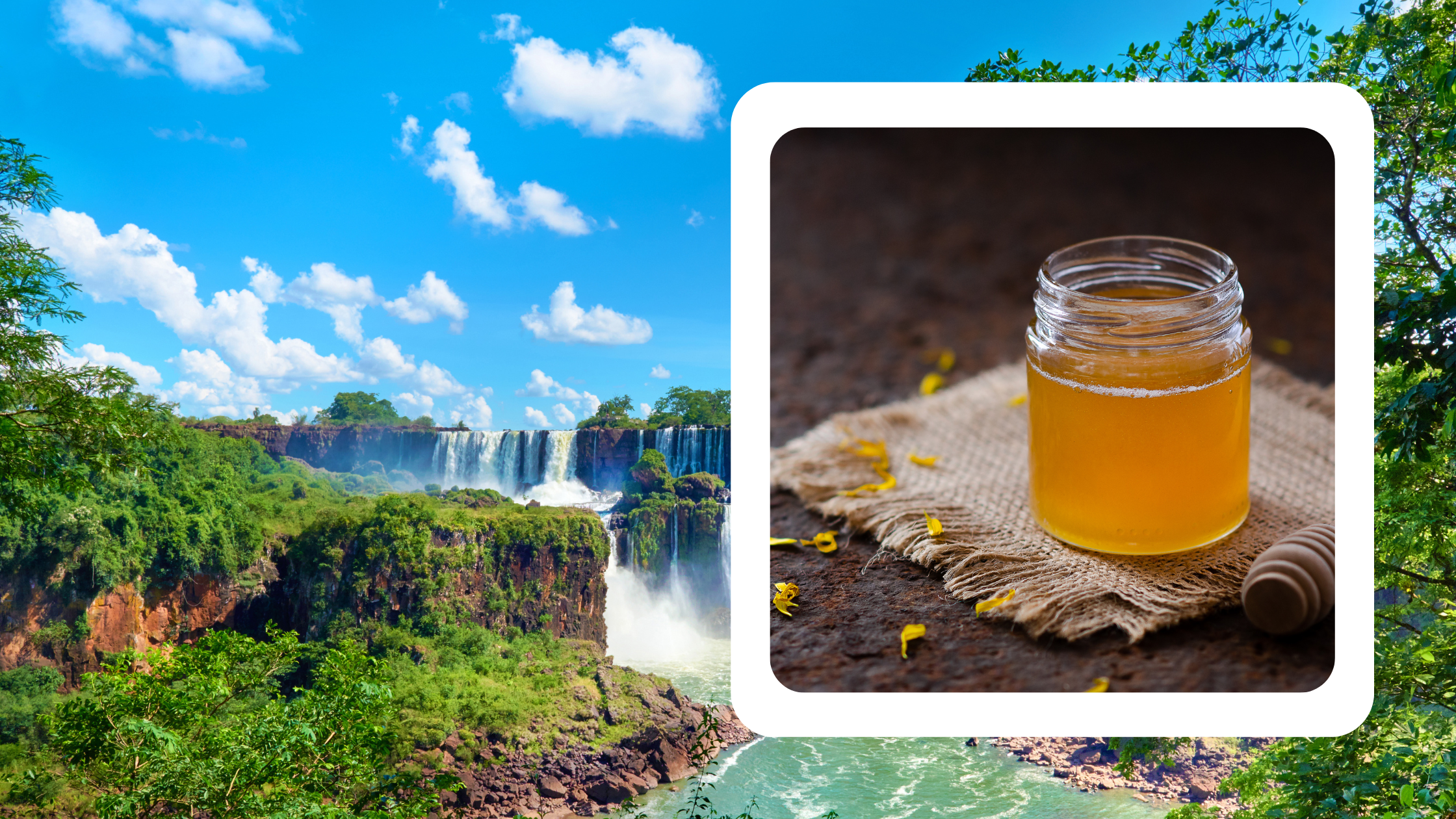 Pure and flavorful honey from the heart of Argentina, a sweet delight from South America.