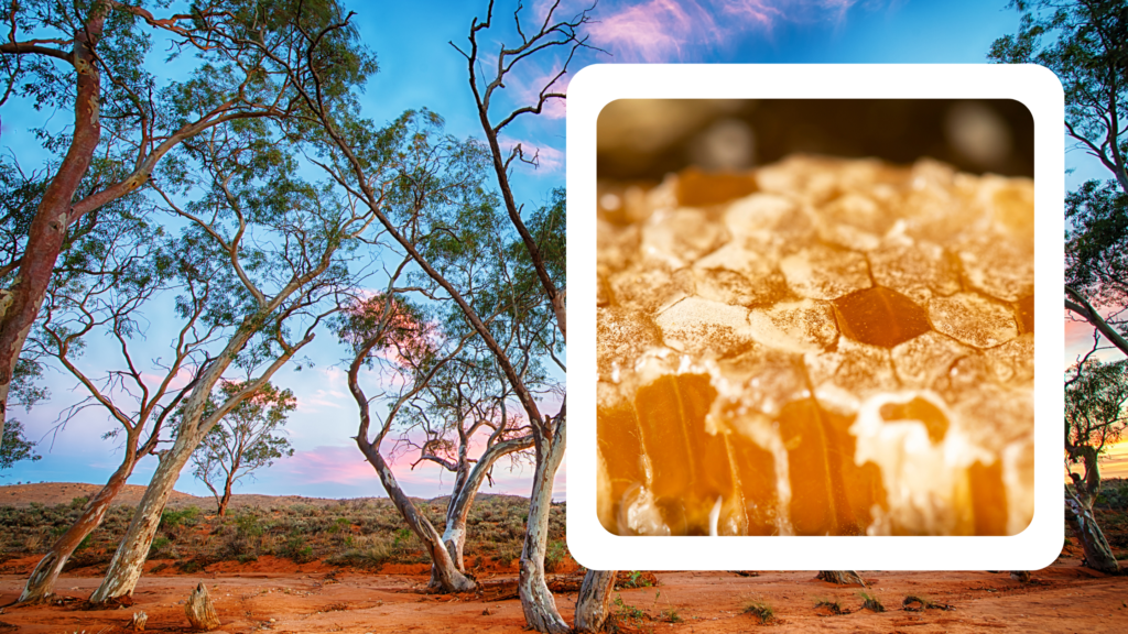 Australian honey, a golden delight from the land of wild beauty and unique flavors.