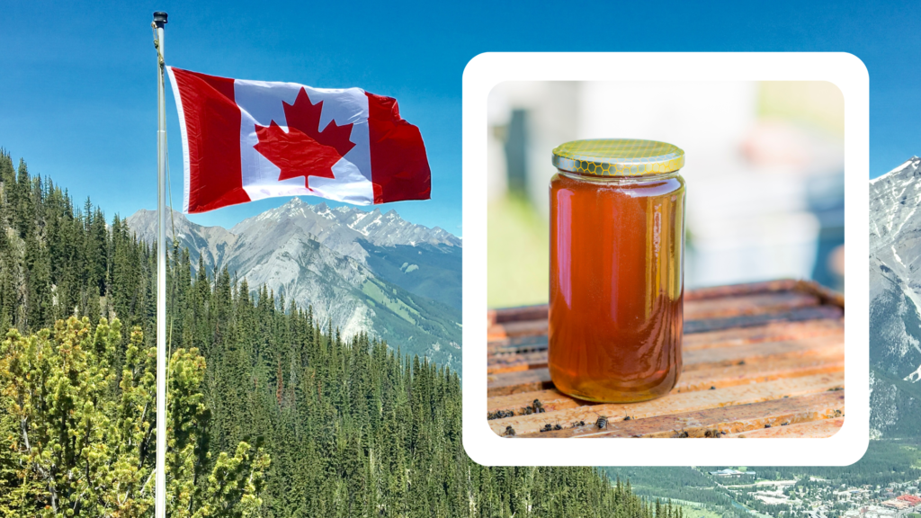 Delicious Canadian honey, a golden delight from the pristine landscapes of Canada.
