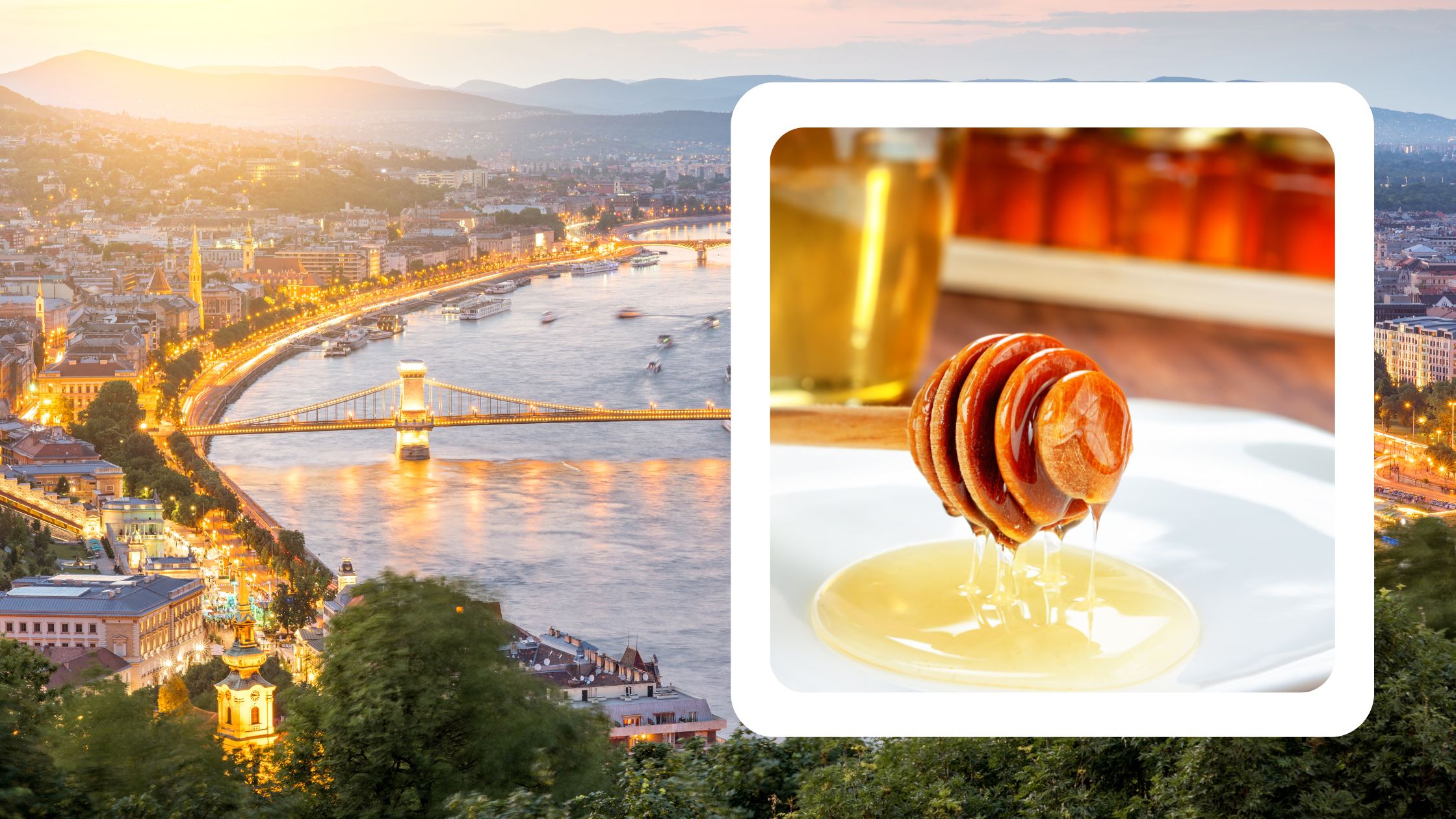 Hungarian honey, a golden delight from the heart of Europe's sweetest secret.