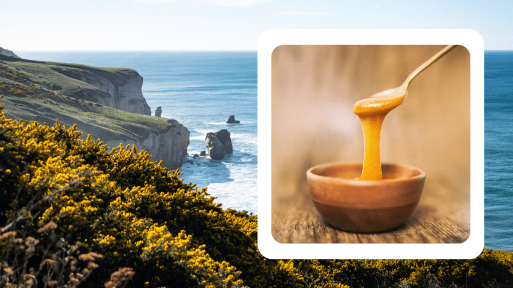 New Zealand honey, a golden treasure from the pristine landscapes of Aotearoa.