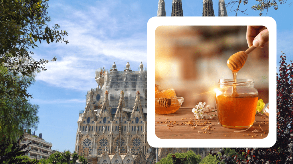 Delicious Spanish honey, a golden delight from the sunny landscapes of Spain.