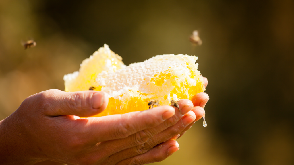 A beekeeper gently harvesting honey from a hive, practicing sustainable methods that prioritize bee health and environmental conservation