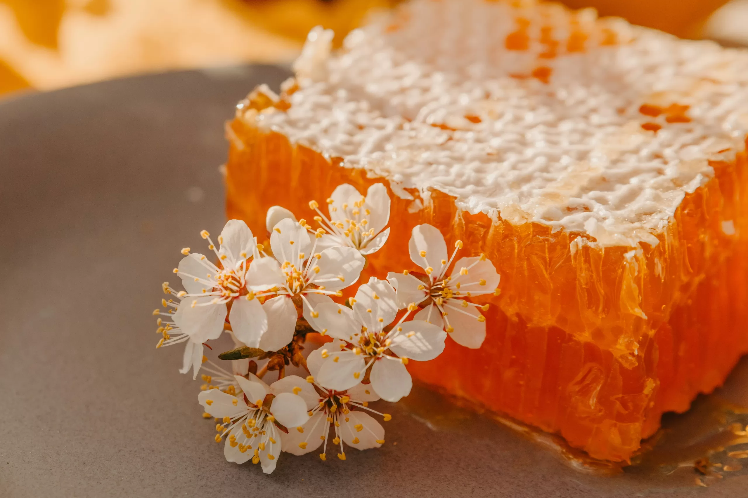 Honeycomb filled with raw honey compared with liquid honey in a jar