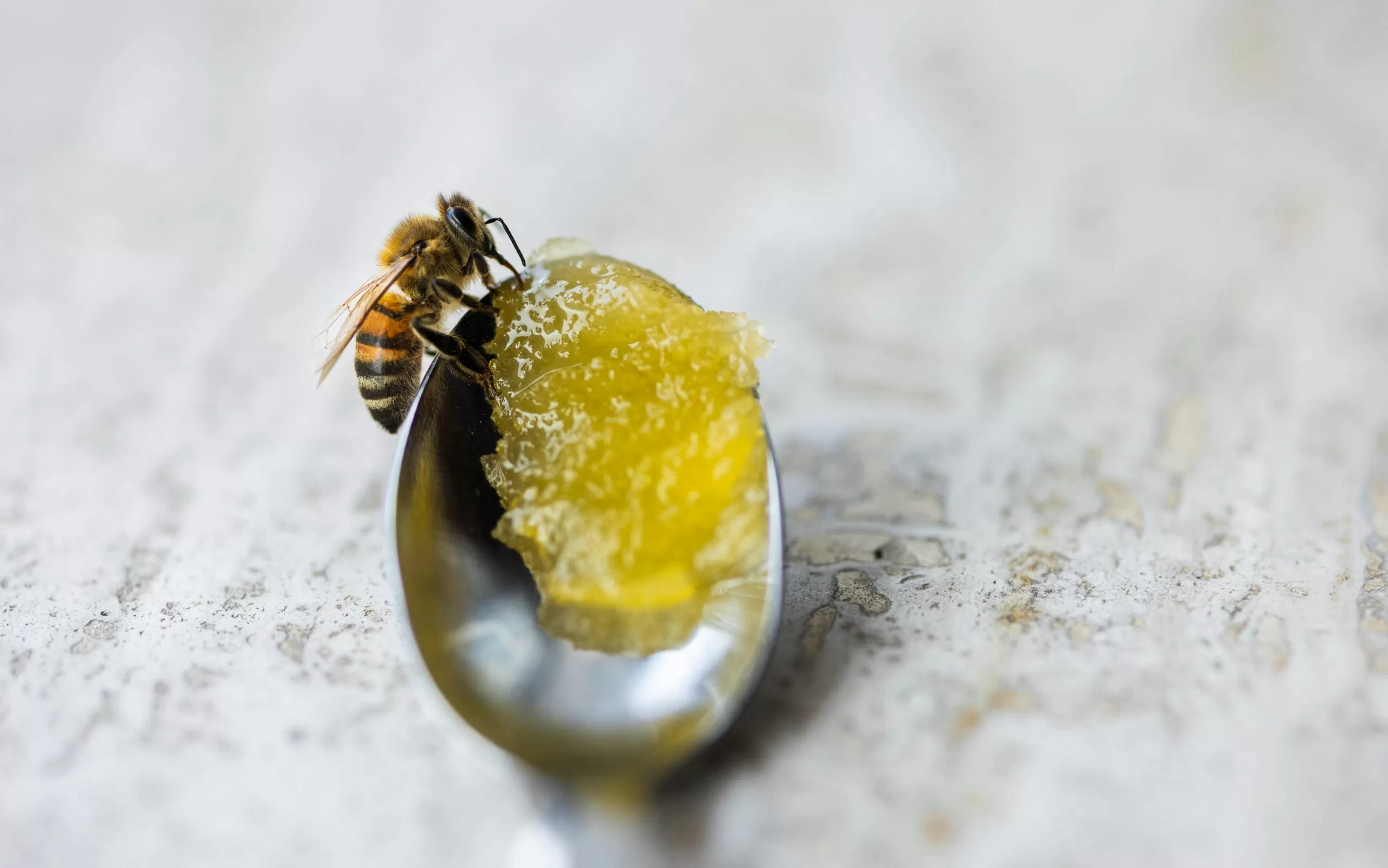 Crystallized honey in a glass jar showing natural texture change