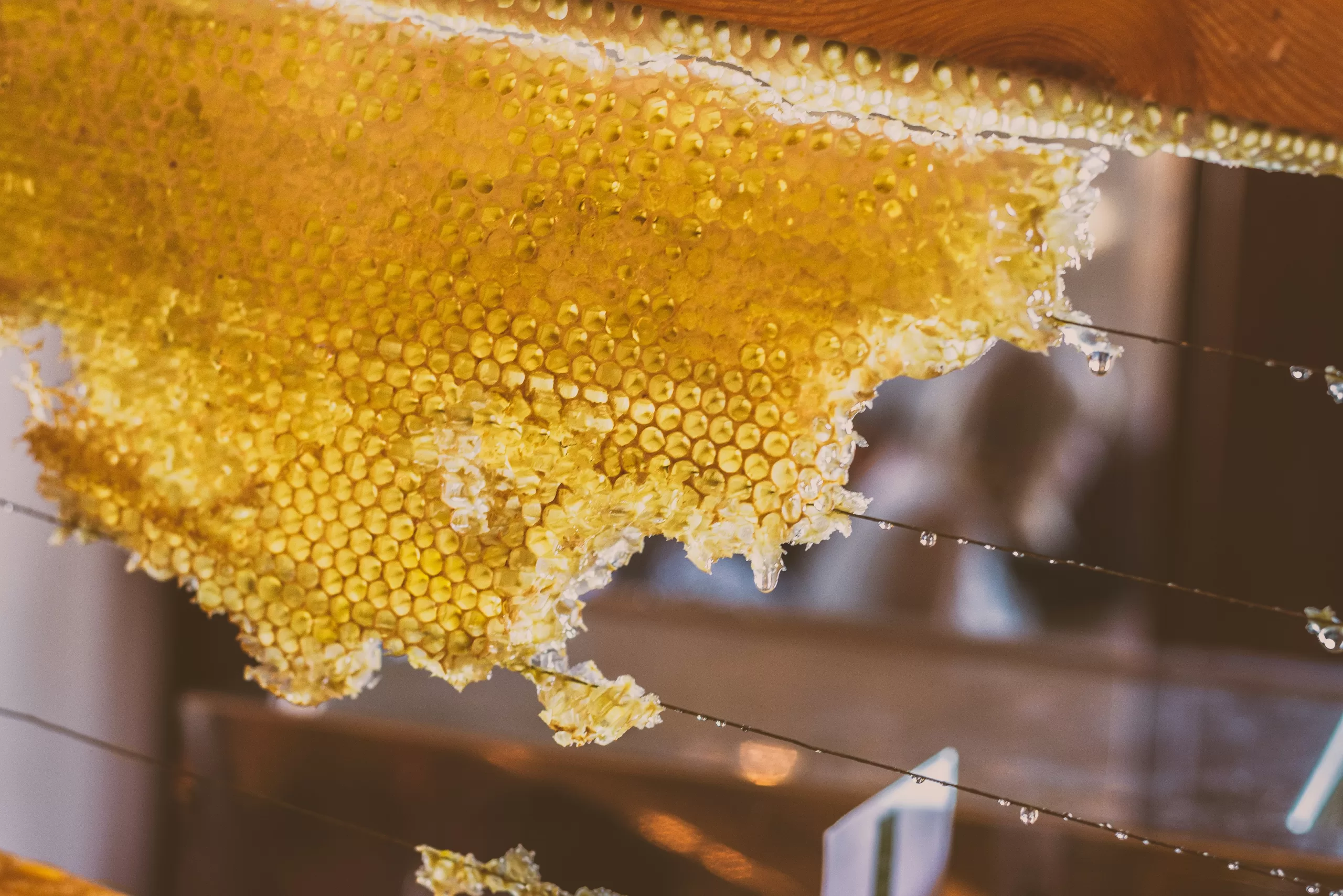 Raw honey displayed in natural honeycomb showing thick texture
