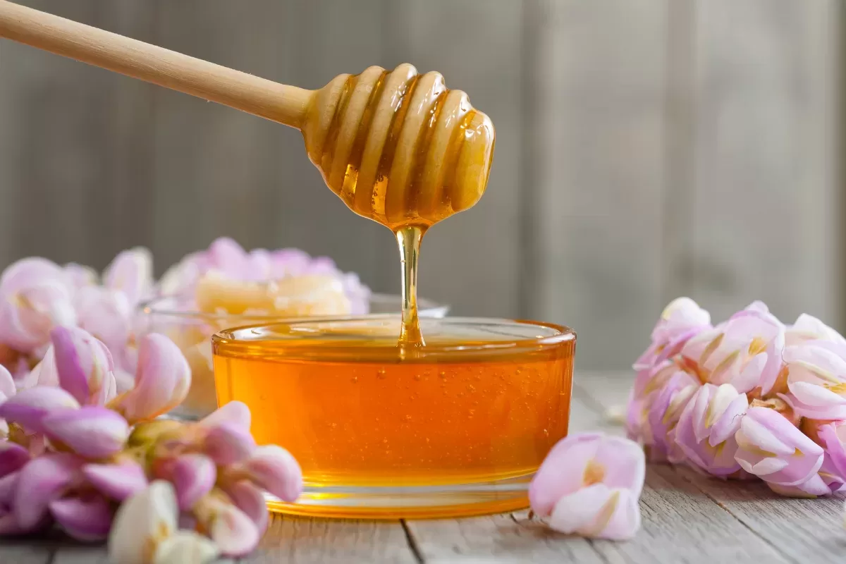 acacia honey